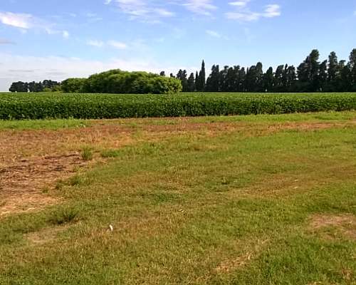 Entre Rios la PAZ Campo Mixto 13500 Hect