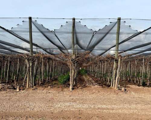 Finca 30ha Excelente Estado los Álamos Fray Luis Beltrán