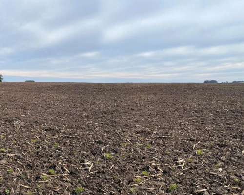 Vendo Campo Agrícola-papero 540ha Sobre Asfalto, Miramar