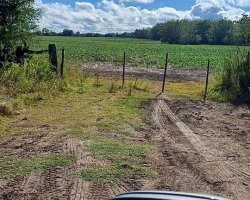 Campo 27 Ha Rosario del Tala Soja Trigo Sorgo