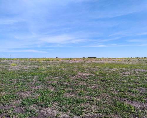 Vendo 135 Has Agricolas Basavilbaso ER