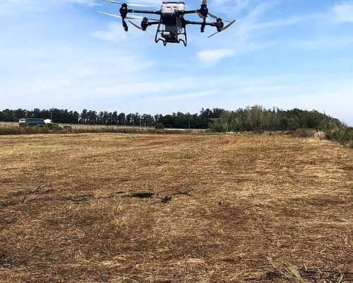 Drone DJI Agras T5o. Siembra, Fumiga y Fertiliza