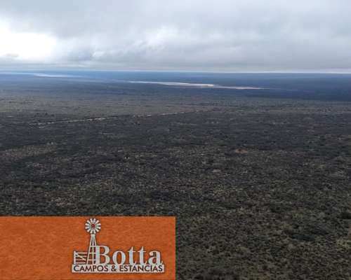 Campo Ganadero en Venta en Hucal, la Pampa