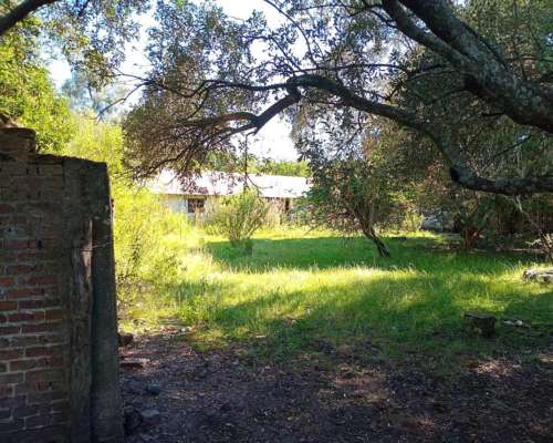Campo Ganadero 140 HA. María Grande. Solo Interesados
