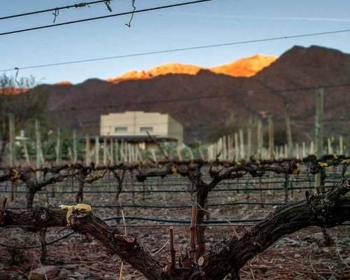 Pcia. de Salta - Bodega Miraluna - Cachi 16 Has