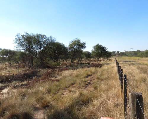 San Luis, Campo Ganadero Arrendamiento 11.000 Has