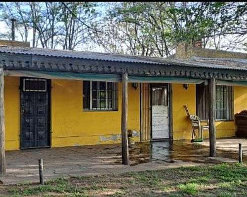 Lobos: 8 Has (cracra)