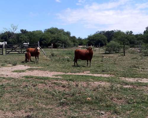 Vendo Campo San Luis