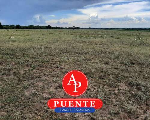 En Venta 750 HA. Chamaicó, la Pampa
