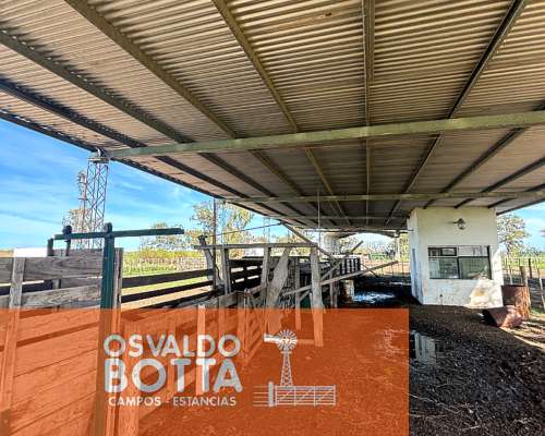 Campo Mixto en Venta, 800has en Coronel Dorrego, BS AS