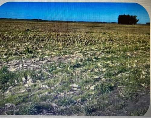 410 Has en Miramar - la Ballenera