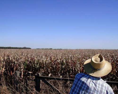 448ha con Riego Estancia Armada Maiz Soja Girasol Mani . STG