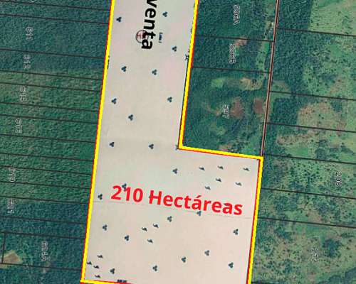 Chacras Terrenos en Venta 210ha. San Jose, Misiones