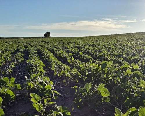 Campo en San Luis. Ubicación Estratégica e Infraestructura
