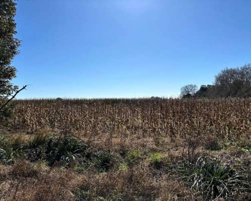 Campana, Buenos Aires - 101 Ha