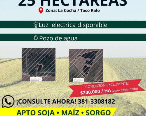 25 Ha Agrícolas Premium Luz, Pozo y Pago Adelantado la C