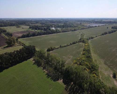 Campo en Venta de 118 Has en Exaltacion de la Cruz