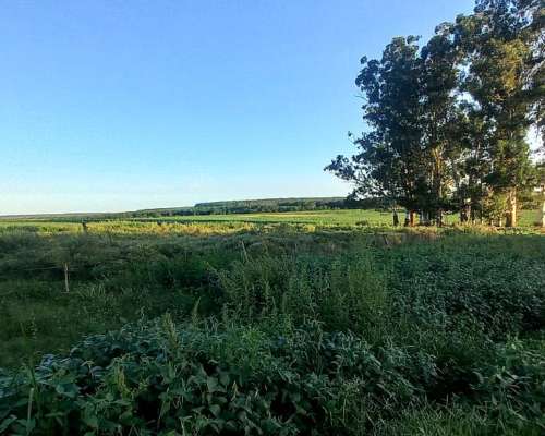 Campo Mixto de 1050 Hectareas