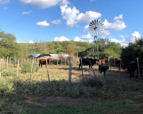 Alquiler Campo Mixto de 417 Ha a 70 km de Merlo.