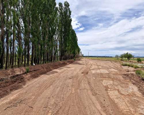 Malargue, Mendonza - 200 Ha