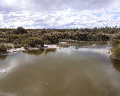 Venta Campo Chubut - Rio Negro 20.000 Hectáreas 🐄🐑