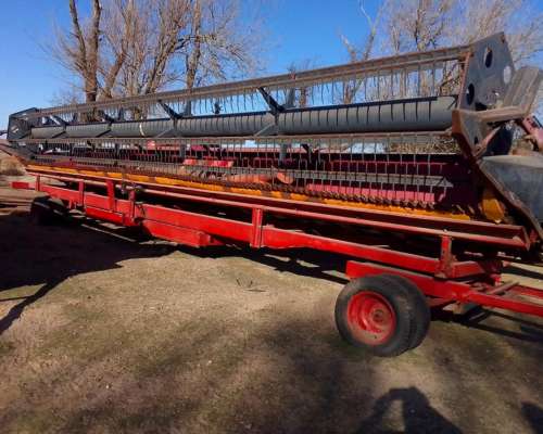 Don Roque 170 Usada 2004