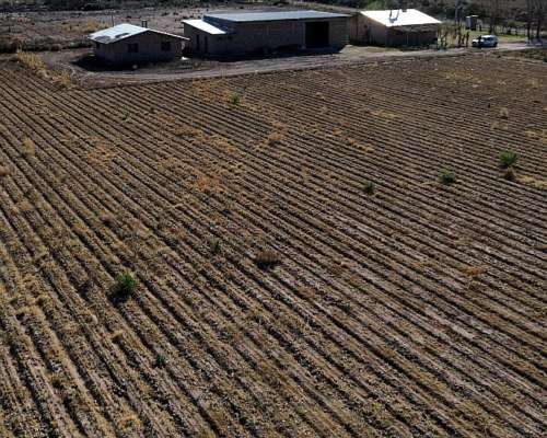 Finca Ideal para Chacra 75ha, Colonia Italia, Lavalle.