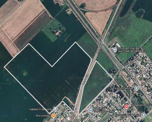 Campo 52 Has, Ramallo(b)