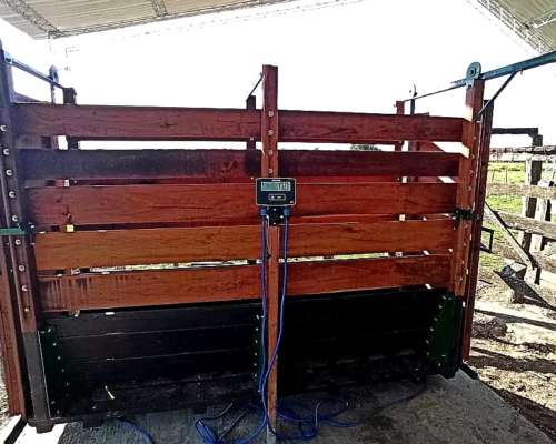 Balanza Electrónica para Pesaje de Hacienda