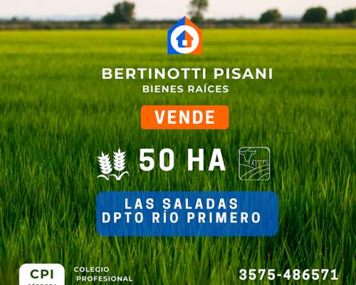 50ha en las Saladas