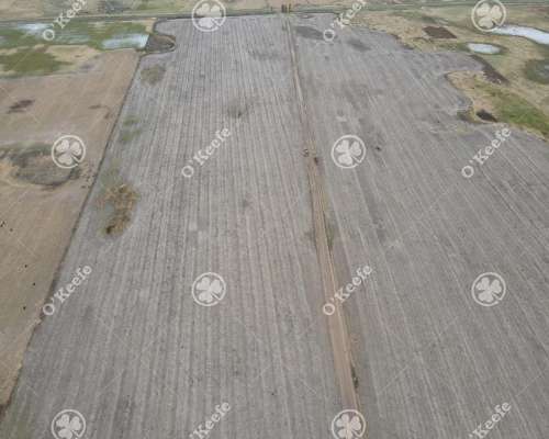 Campo en Venta de 324 Has en General Alvear. Mixto