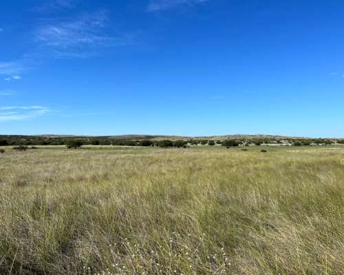 7500 Hectáreas Algarrobo, BS. AS.