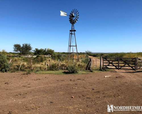 Concaran, Chacabuco, San Luis, Argentina