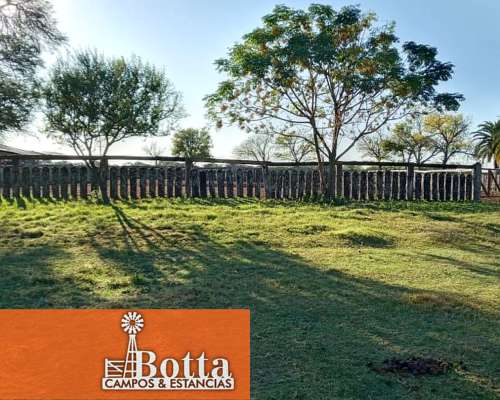 Establecimiento en Venta 1115has en Sauce, SUR de Corrientes