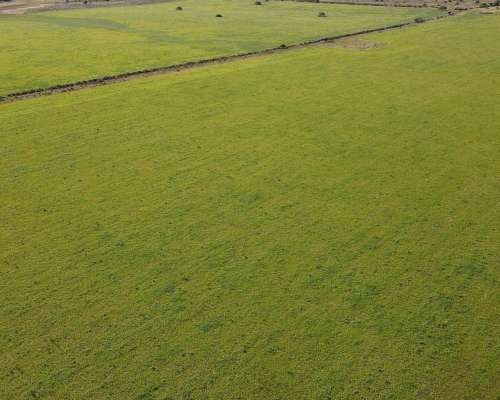 280 Hectáreas Agrícolas, Todas las Mejoras. Gualeguaychú.