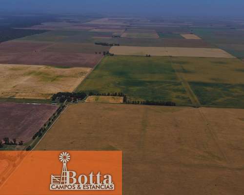627has en Venta en Alpachiri, la Pampa. Campo Agricola