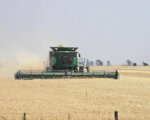 377ha en Teniente Origone Agricolas Financiadas a 3 Años