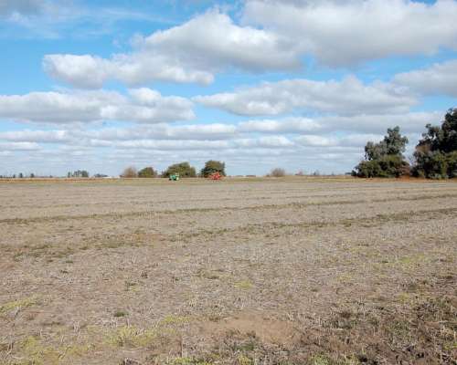 550 HA. Agrícolas en 25 de Mayo
