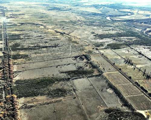 Lamarque, Avellandera, Río Negro - 16.387 Ha