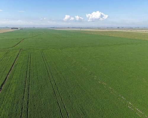 65 HA. Agrícola Optimo. Chovet (santa FE)