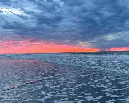 346 Lotes Medano Blanco