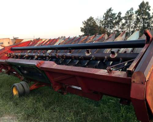 Se Vende Girazolero 10 a 52cm