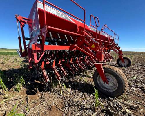 S. G. Grueso Crucianelli Gringa 7035 23 a 35 Precision Plant