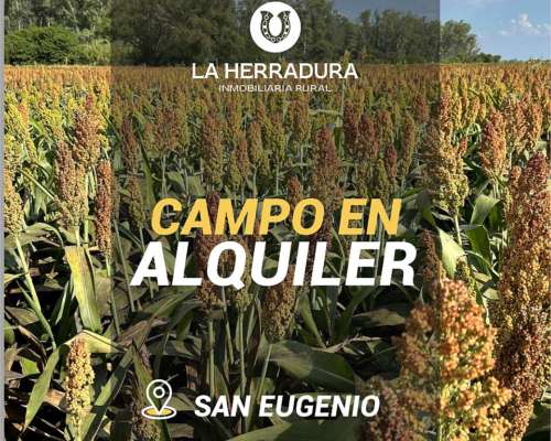 San Eugenio 9 Has Agrícolas. Suelo 1. Campo en Alquiler