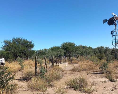 Campo de Monte en Caleu Caleu