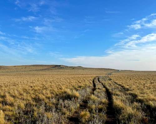 3700 Hectareas, el Durazno - la Pampa