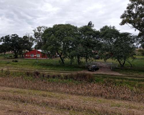 878 HA. Ganadero, Cria. Depto, San Martin (santa FE)