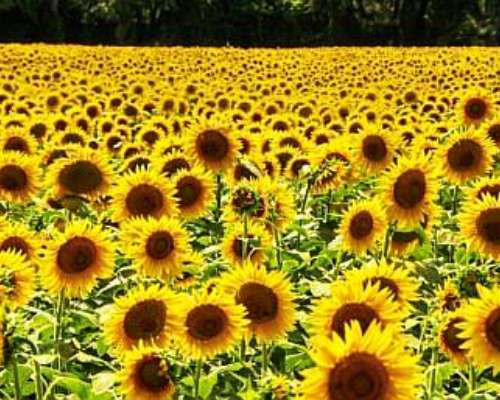 927 en Villa Mineti Santa FE