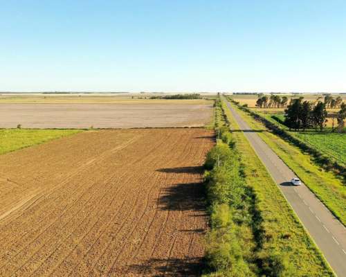 Washington, Río Cuarto, Córdoba - 11 Ha