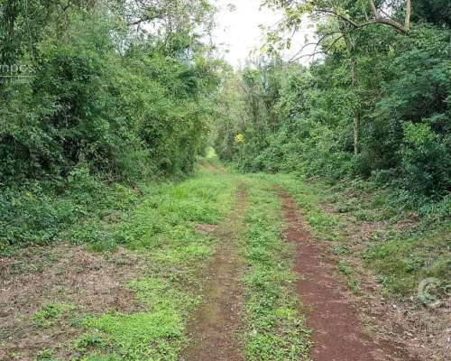 Se Vende. Campo Jardín América. de 306 Ha en SU Mayoria Mont